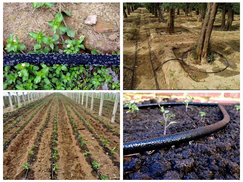 Hoe wordt een rubberen soaker-slang gebruikt voor irrigatie?